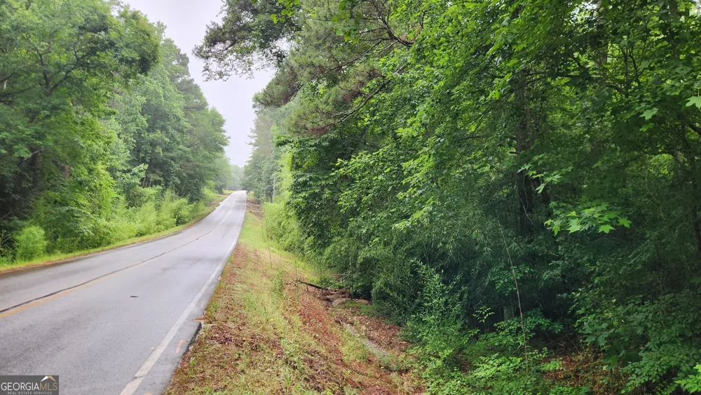 1136 Dolly Nixon RD Senoia, GA 30276