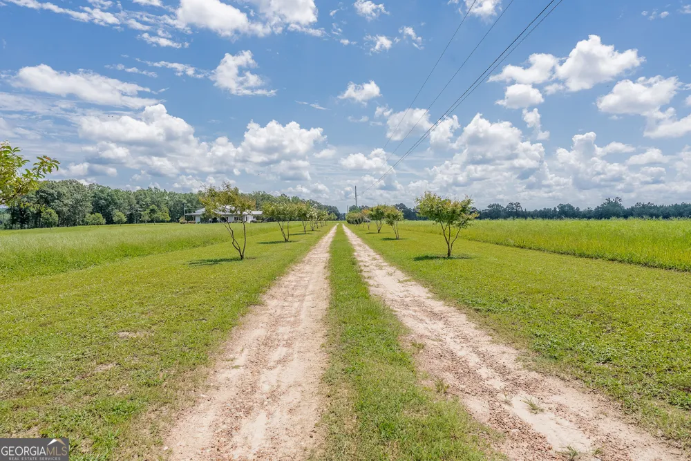 318 Cass Burnham RD Eastman, GA 31023