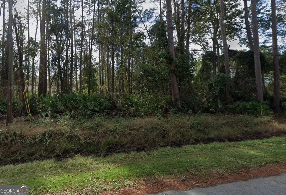 333 Midway CIR Brunswick, GA 31523