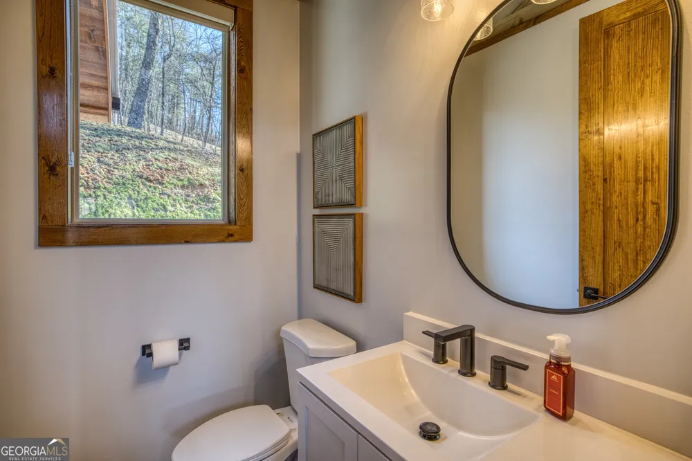 1160 Mangums TRL Blue Ridge, GA 30513
