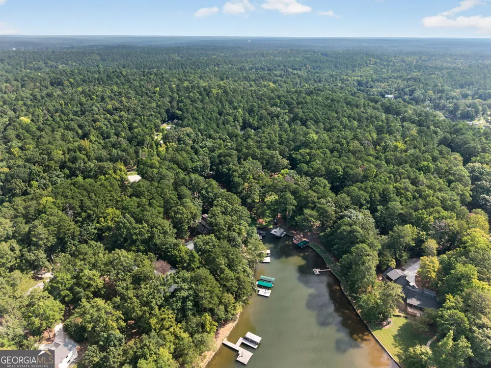 1000 Tree-A-Coon PL Greensboro, GA 30642