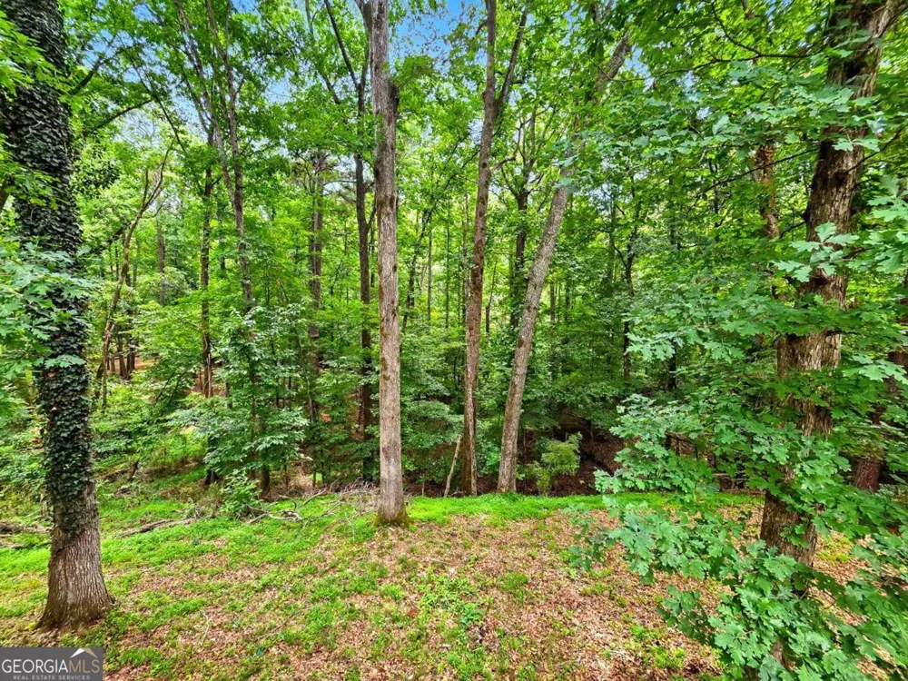 1740 Deer Run DR SW Conyers, GA 30094