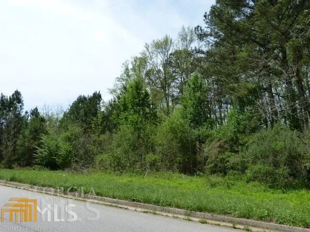 204 Benefield CT Stockbridge, GA 30281