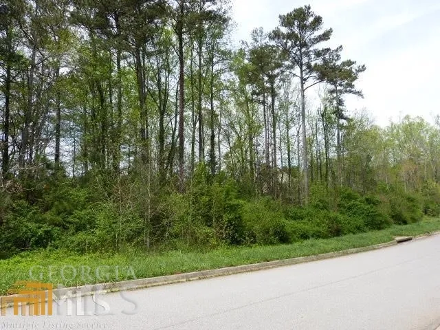 204 Benefield CT Stockbridge, GA 30281