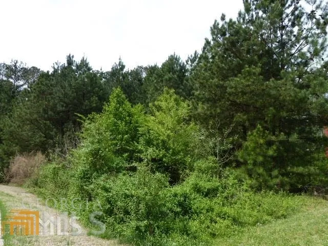 204 Benefield CT Stockbridge, GA 30281