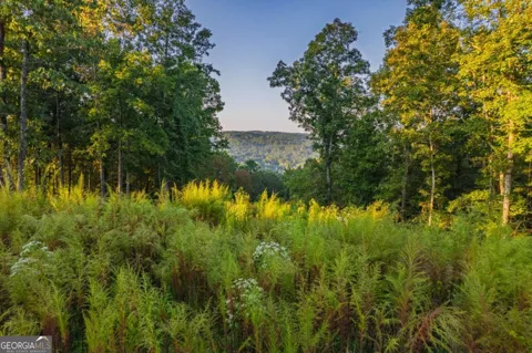 LOT 290 Anglers Ridge RD