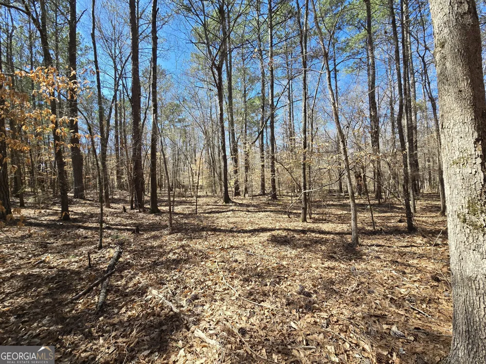 0 River Shoals CT Covington, GA 30016