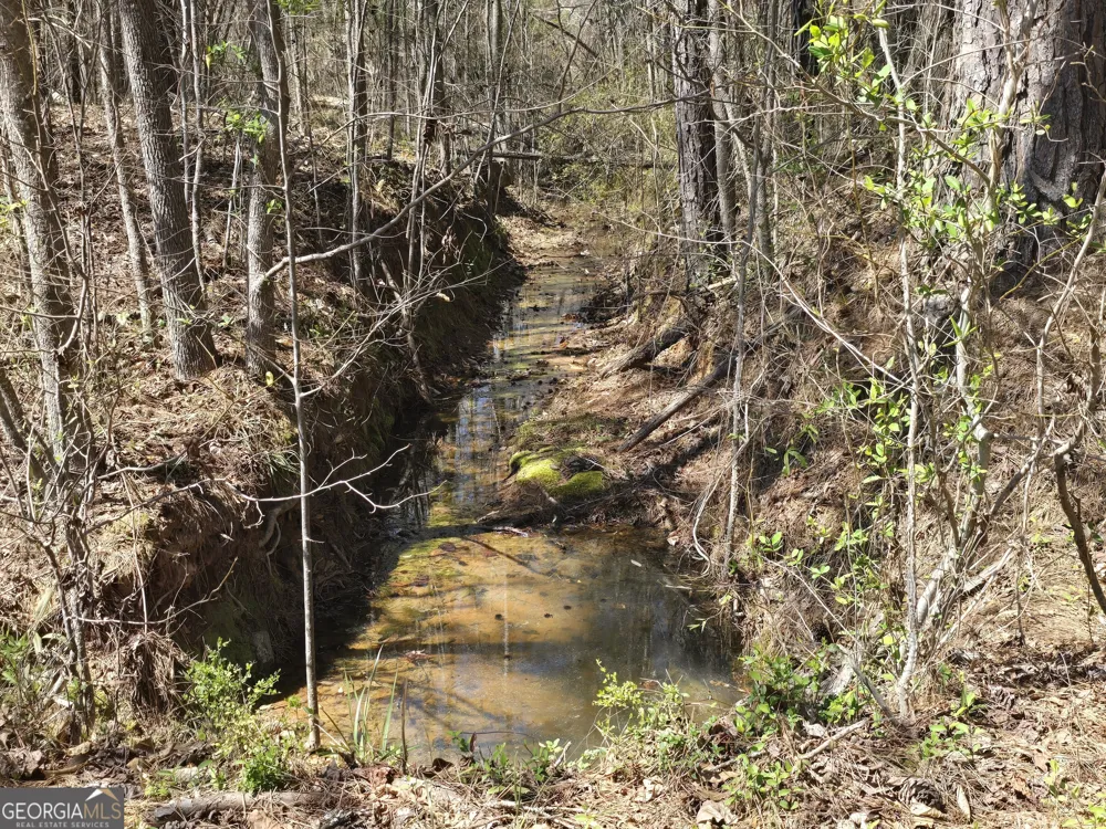 0 River Shoals CT Covington, GA 30016