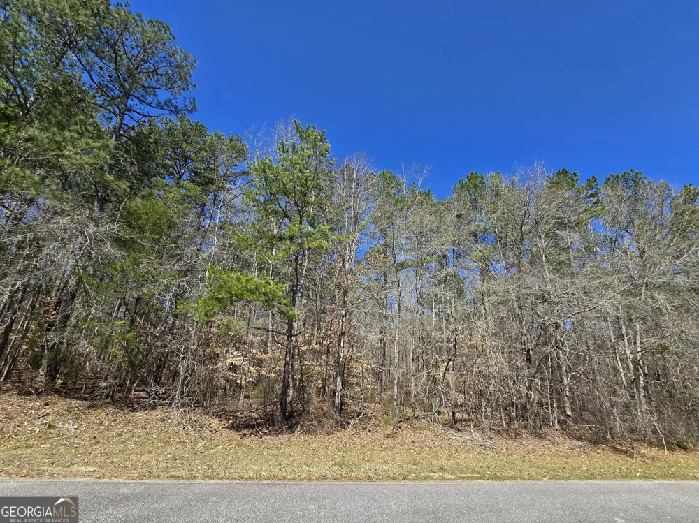 0 River Shoals CT Covington, GA 30016
