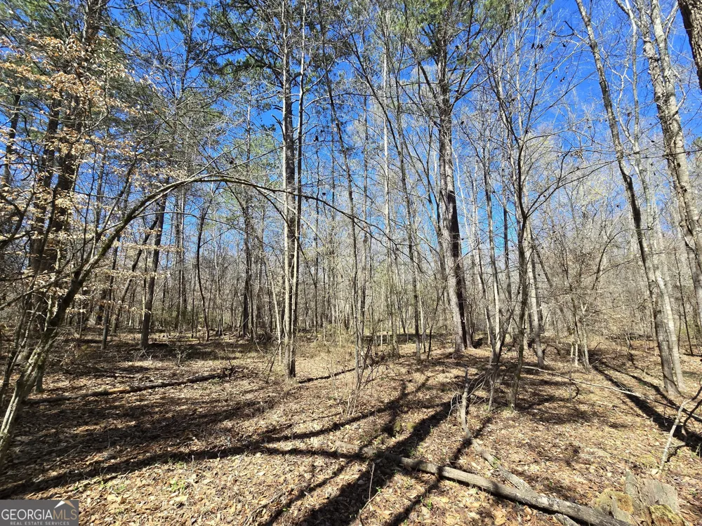 0 River Shoals CT Covington, GA 30016