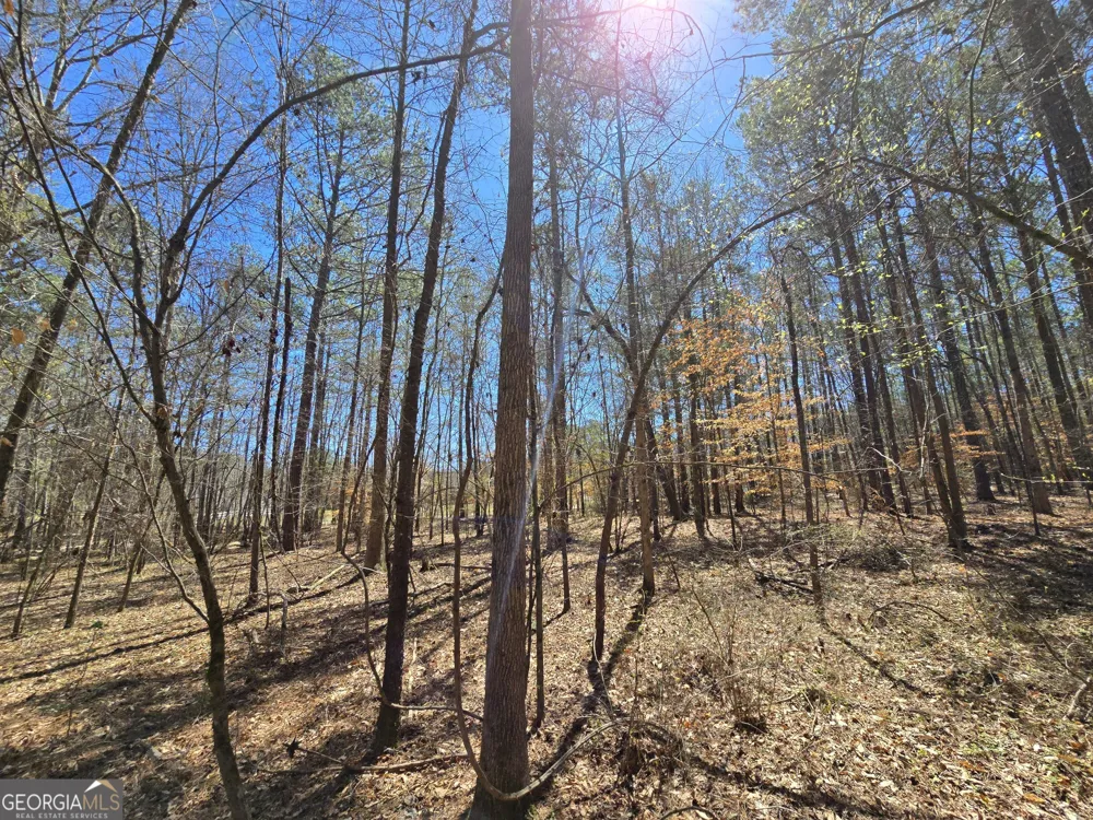 0 River Shoals CT Covington, GA 30016