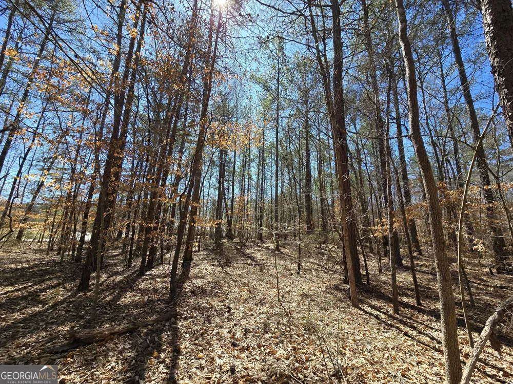 0 River Shoals CT Covington, GA 30016