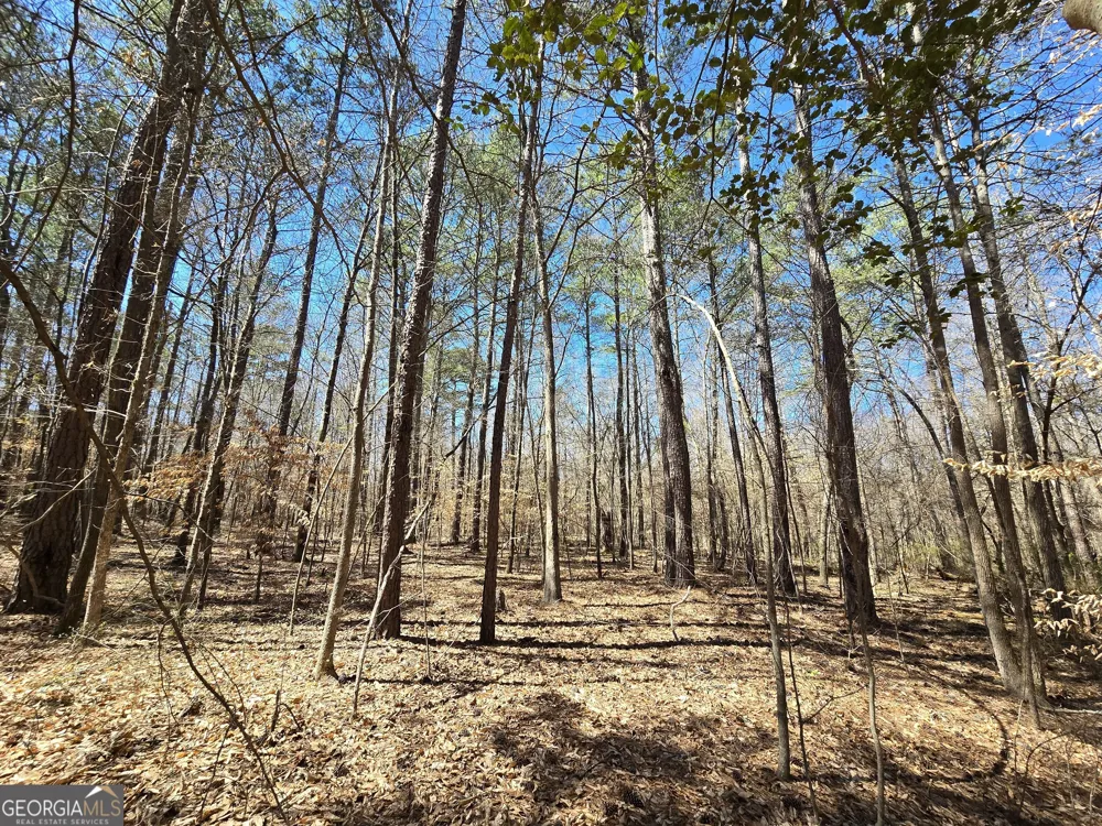 0 River Shoals CT Covington, GA 30016