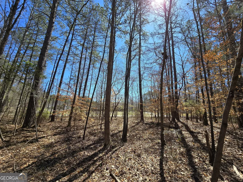 0 River Shoals CT Covington, GA 30016