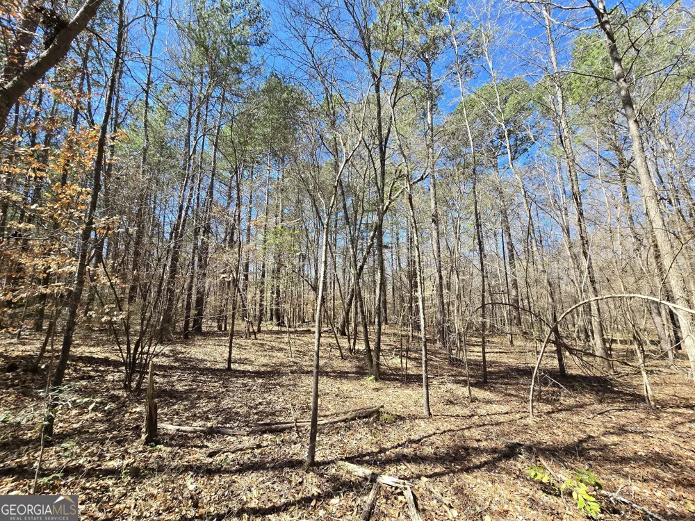 0 River Shoals CT Covington, GA 30016