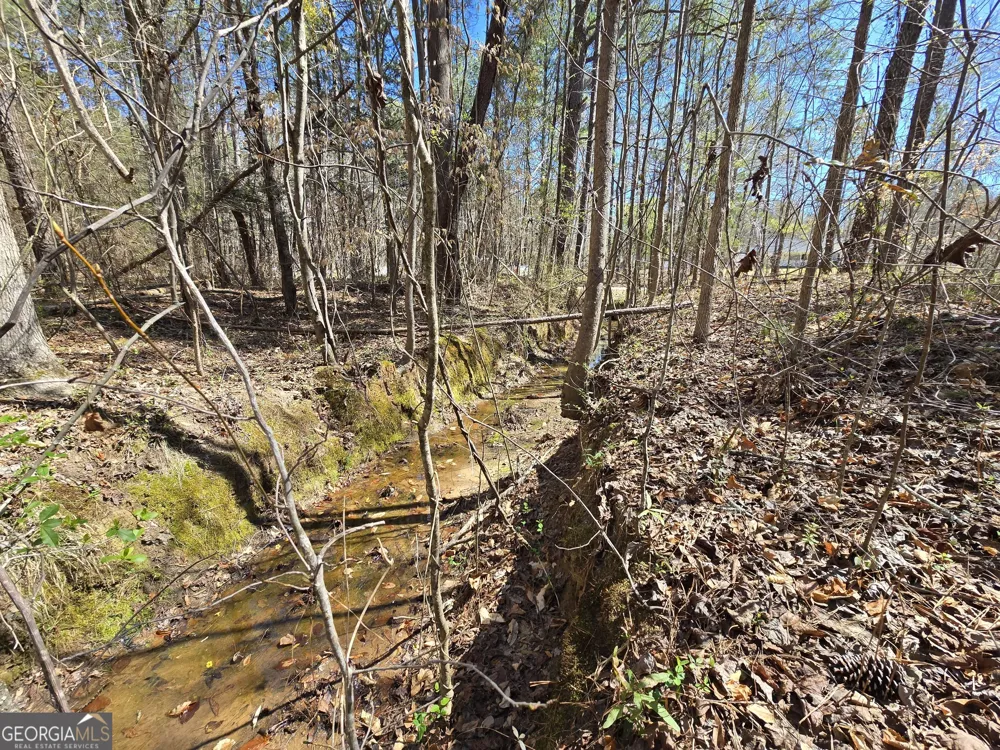 0 River Shoals CT Covington, GA 30016