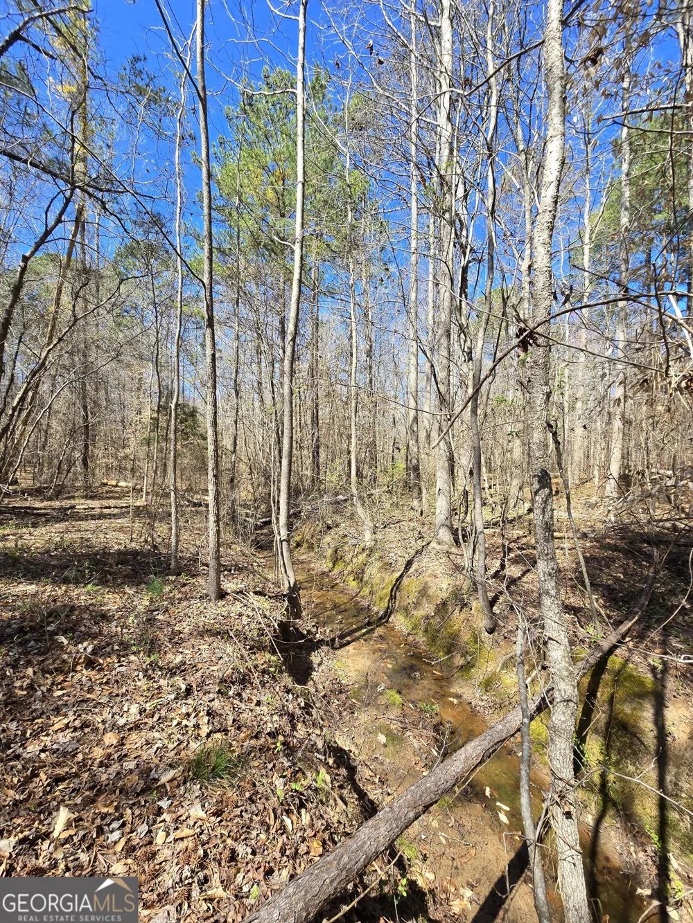 0 River Shoals CT Covington, GA 30016