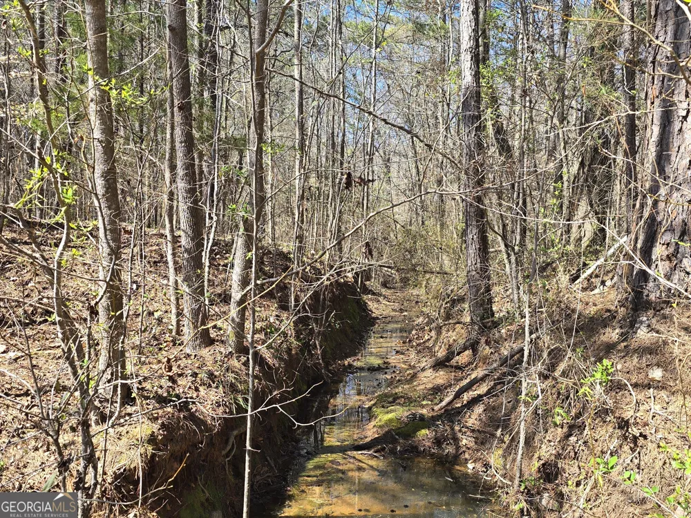 0 River Shoals CT Covington, GA 30016
