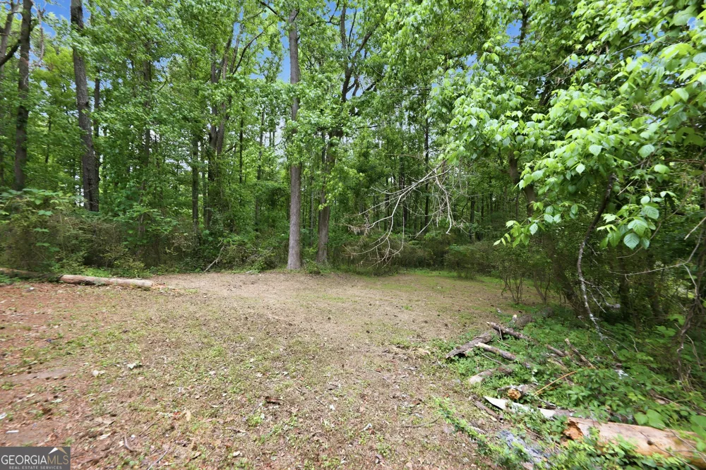 4860 Delano RD South Fulton, GA 30349