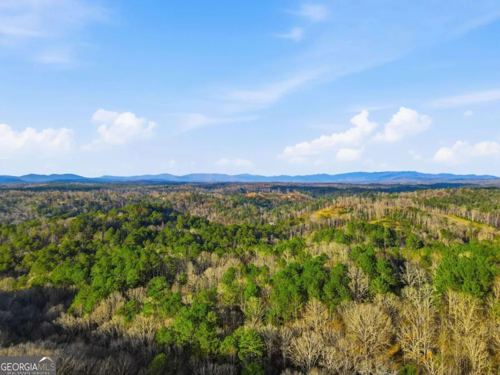677 Catawba CIR Ellijay, GA 30540
