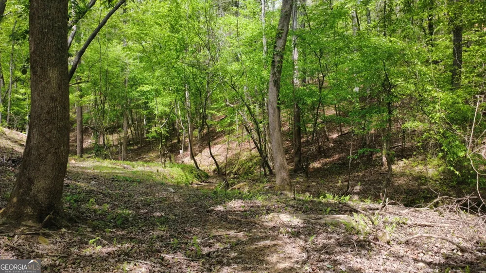 677 Catawba CIR Ellijay, GA 30540