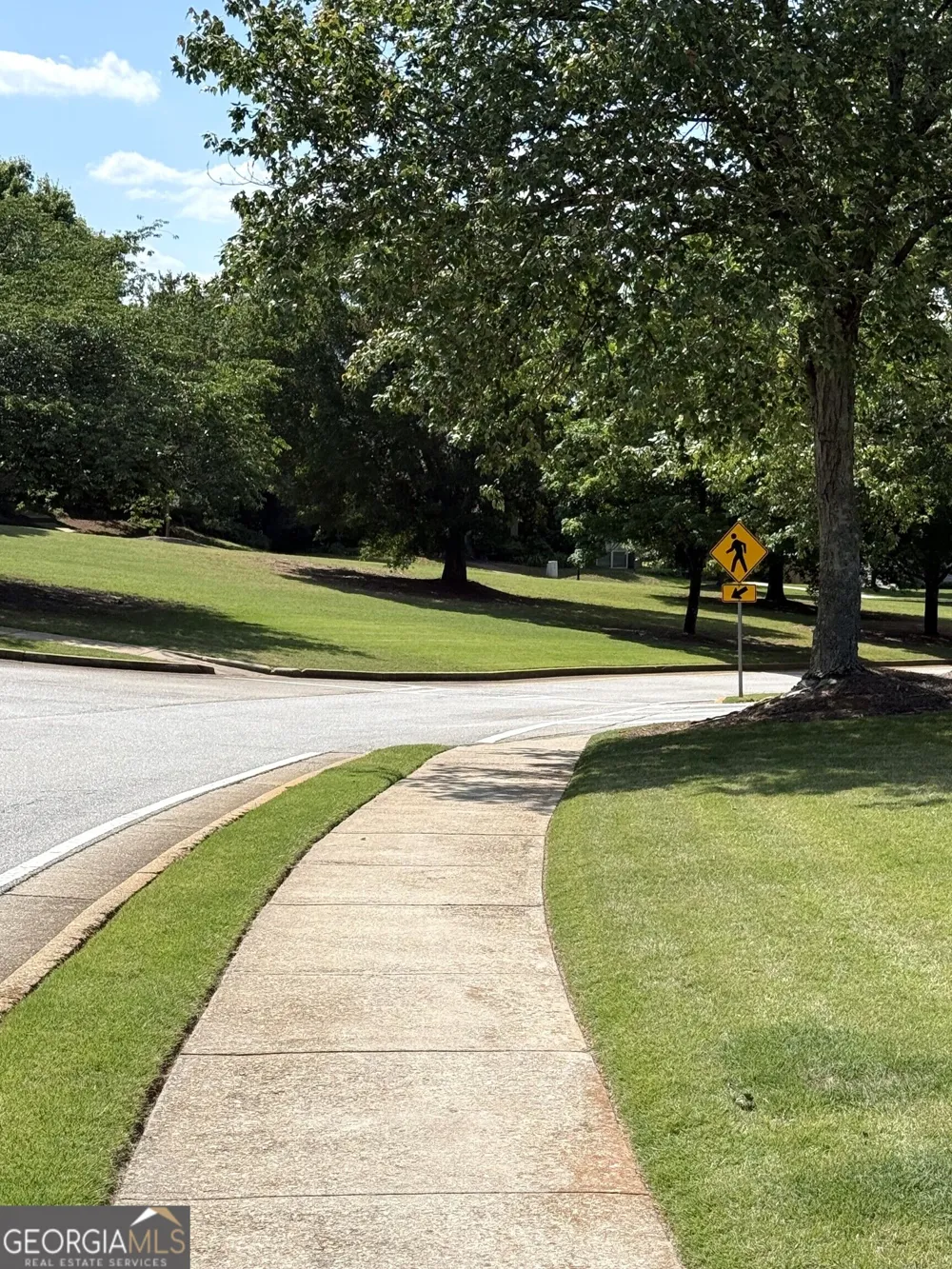 39 The Crescent Newnan, GA 30263