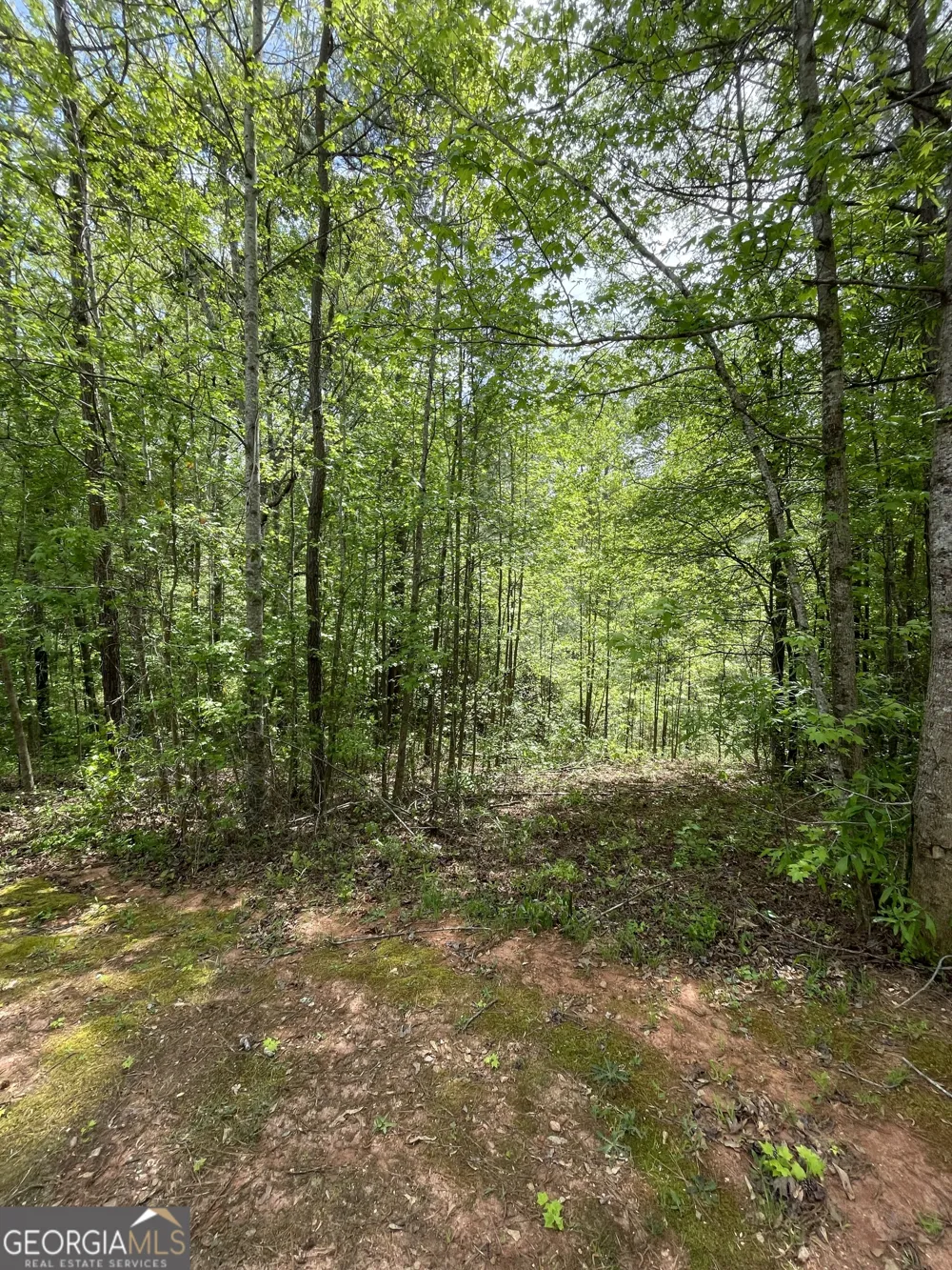 205 White Birch DR Covington, GA 30016