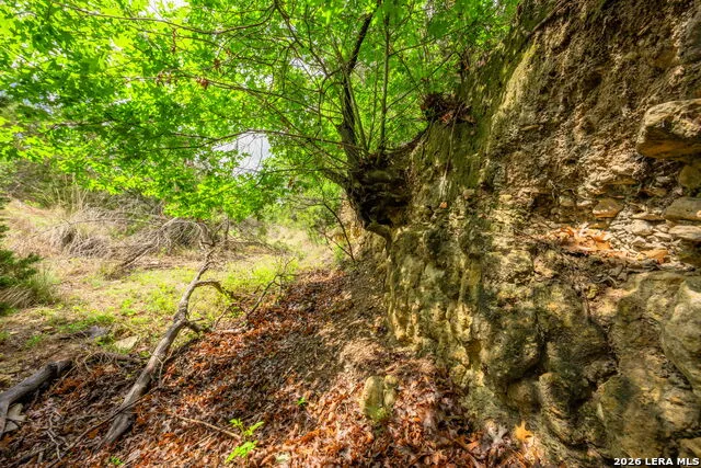 7625 STATE HIGHWAY 16 Fredericksburg, TX 78624