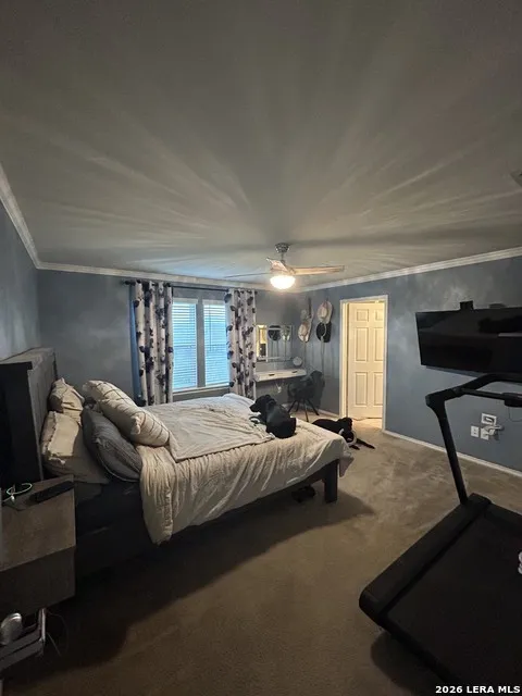 414 Dappled Willow New Braunfels, TX 78130