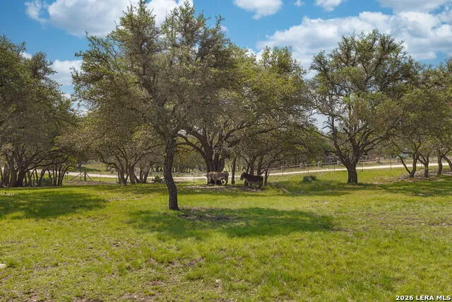 222 Spanish Oak Trl Harper, TX 78631