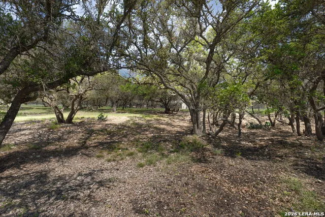 222 Spanish Oak Trl Harper, TX 78631