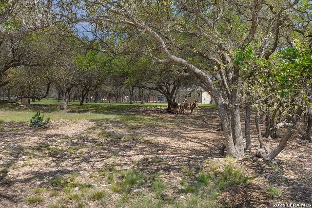 222 Spanish Oak Trl Harper, TX 78631