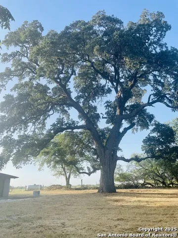 3010 Triple Tree China Grove, TX 78263