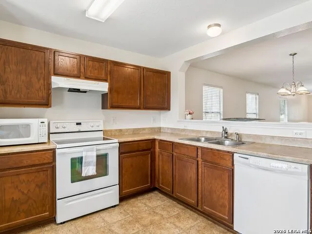 244 Cactus Patch Selma, TX 78154