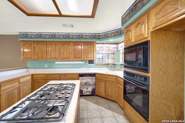 386 County Road 763 Devine, TX 78016