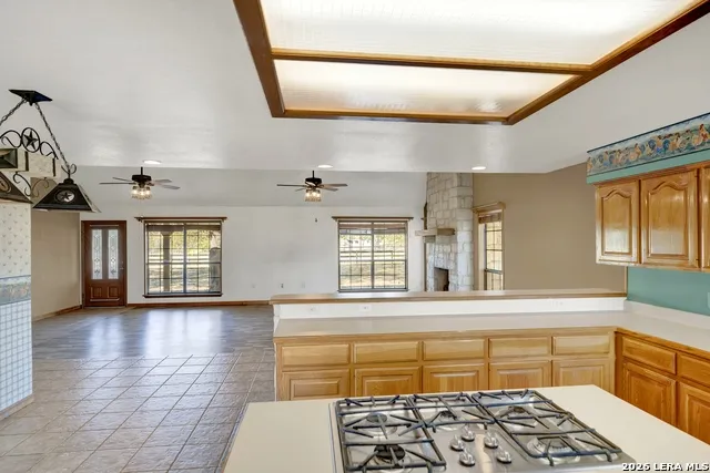 386 County Road 763 Devine, TX 78016