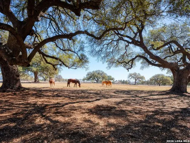 676 Highgate Dr Bandera, TX 78003