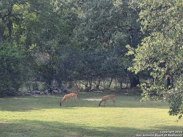 501 River Mountain Drive Boerne, TX 78006