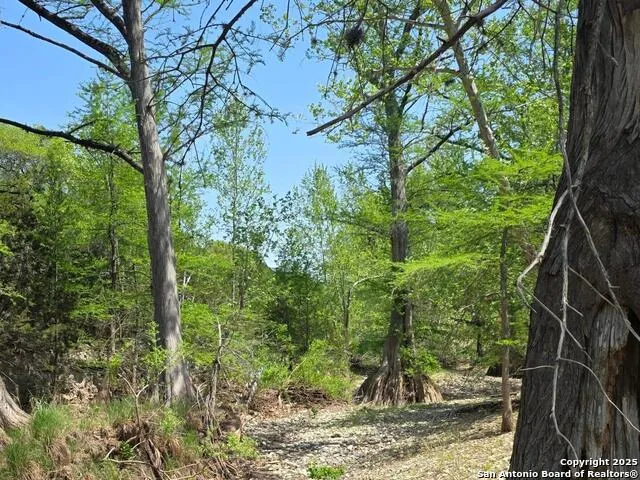 501 River Mountain Drive Boerne, TX 78006