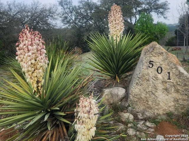 501 River Mountain Drive Boerne, TX 78006