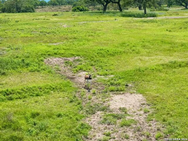 1051 Cattlemans Crossing Dr Kerrville, TX 78028