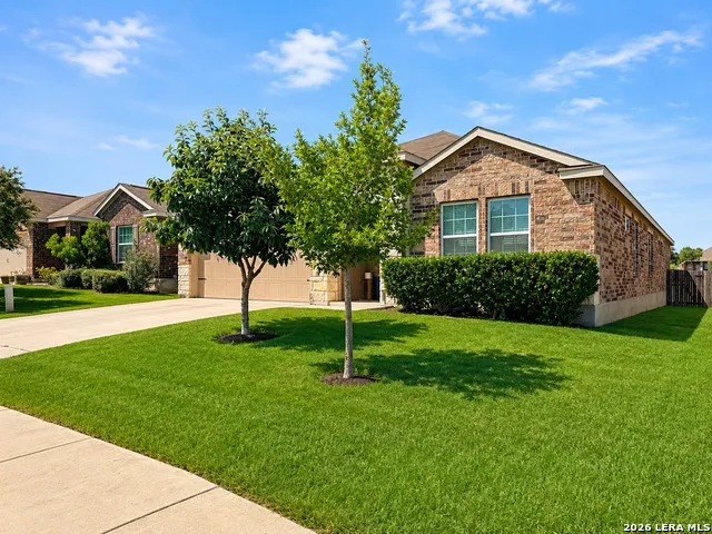 5549 Black Walnut Bulverde, TX 78163
