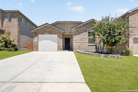 15335 Shortwing