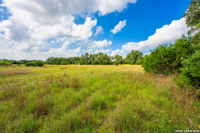 147 Gray Wolf Blanco, TX 78606