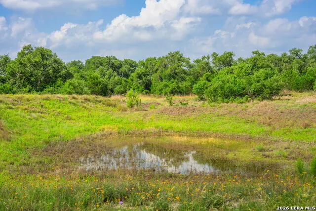 147 Gray Wolf Blanco, TX 78606