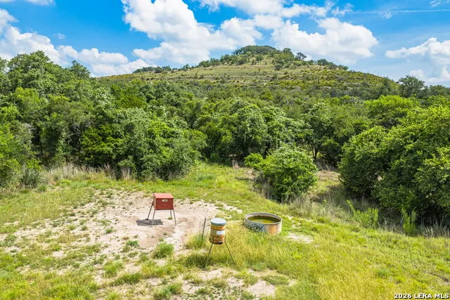 147 Gray Wolf Blanco, TX 78606