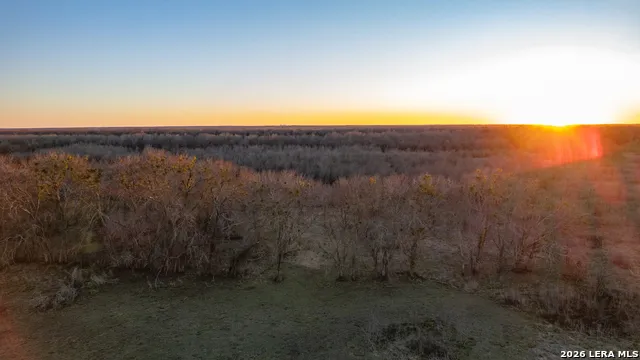 25119 Private Rd 8496 Athens, TX 75751