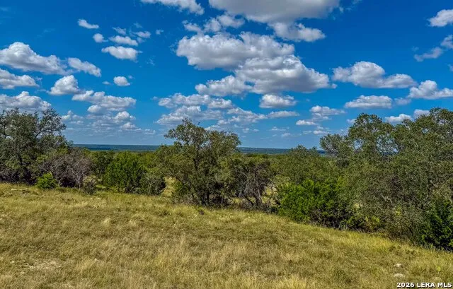 20945 Cactus Rd Eldorado, TX 76936