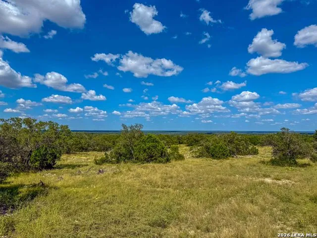 20945 Cactus Rd Eldorado, TX 76936