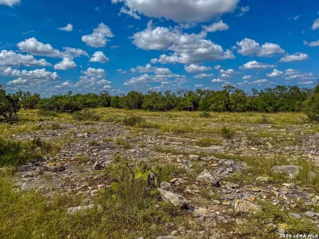 20945 Cactus Rd Eldorado, TX 76936